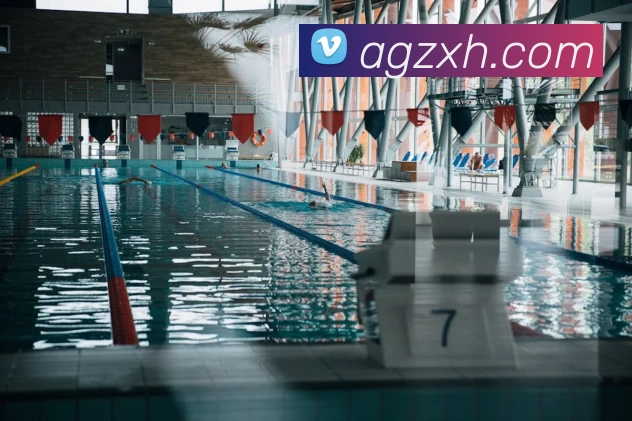 App Interface Preview